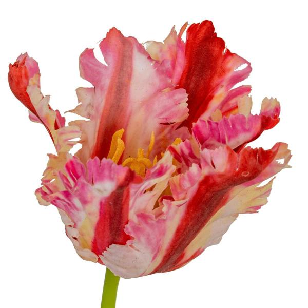 Wyld Haus Set of 3 Artificial Flowers Multi Pink Parrot Tulip Stems