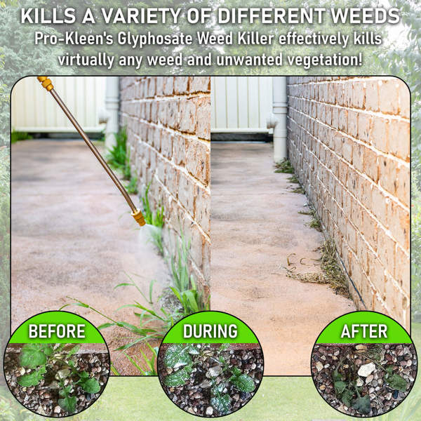 ProKleen Pro-Kleen NOGROW WeedKiller 12 Litre Deep Root Killing 7.2g/l Weed Killer Ready to Use Formula Supplied with Spray Head