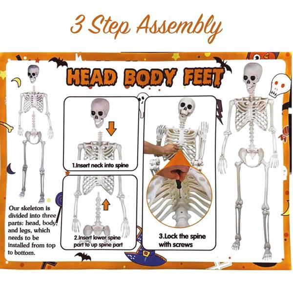 Halloween Life Size Poseable Skeleton Prop 165cm - Realistic Human Skeleton Decoration image 18