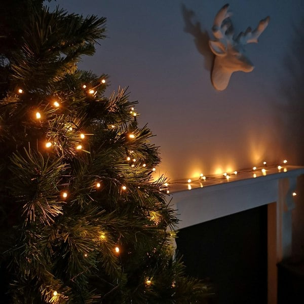 Samuel Alexander 24 LED 2.3m Premier Christmas Indoor Outdoor Multi Function Battery Operated String Lights with Timer in Vintage Gold