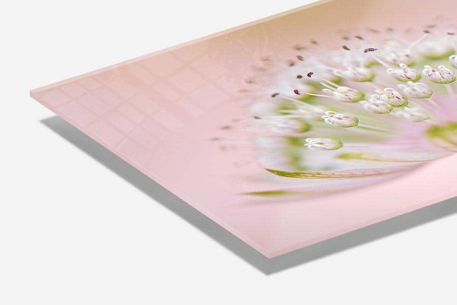 di-bond acrylic flower print