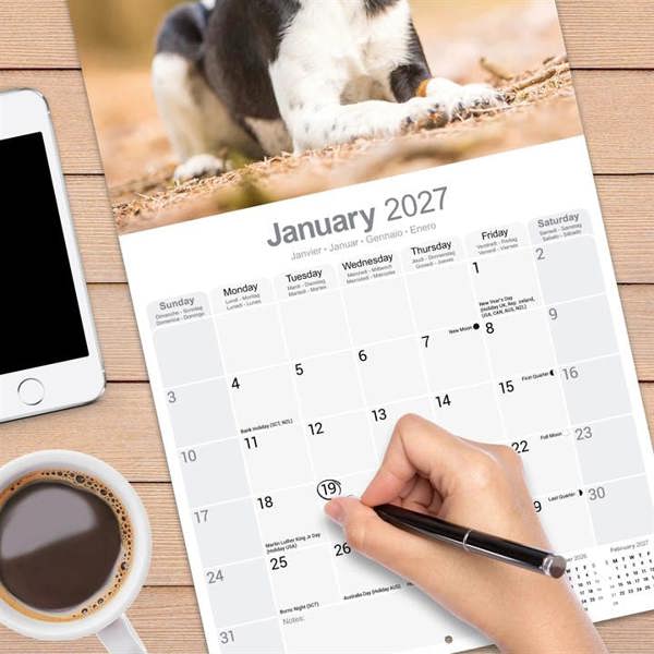 Fox Terrier Calendar 2027, Wall Calendars, Month To View, Dogs, Gift