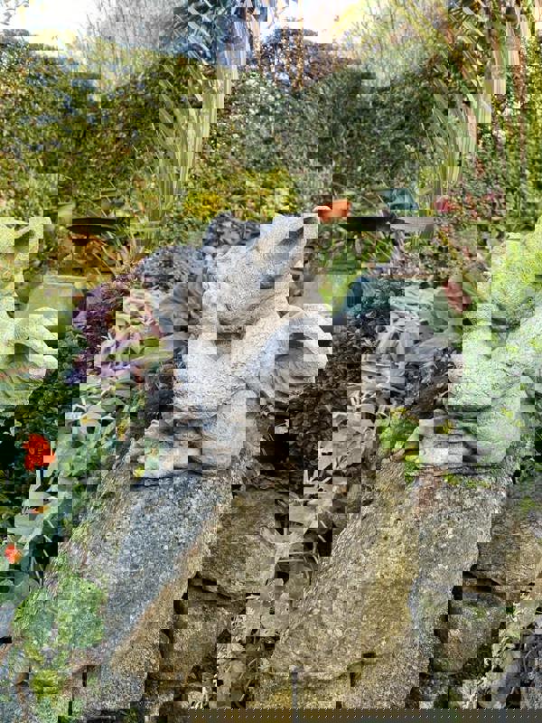 Sad Dragon Mythical Garden Ornament