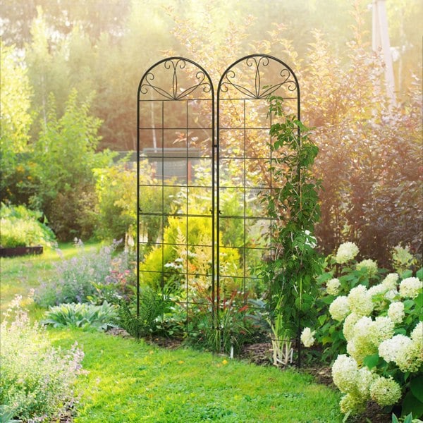 Garden Arbor