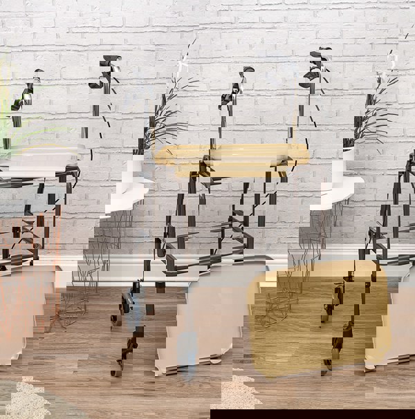 Aidapt Strolley Trolley Height Ad Brakes