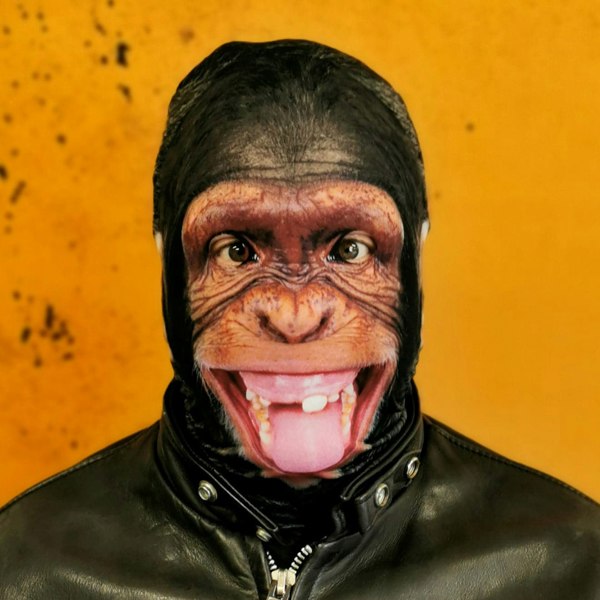 Faceskinz - Fabric Mask - Halloween Ideas