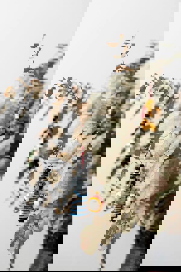 Lily & Me Party Gent Tree Decoration