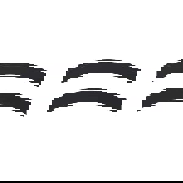 Speedo Hydrosity 2.0 mirrored swim goggles with easy strap adjustment