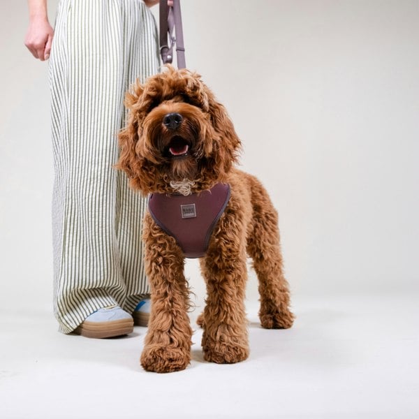 Barc London Russet Brown Easy Fit Dog Harness