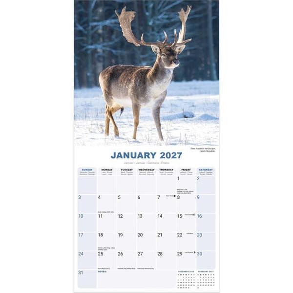 Seasons Calendar 2027, Wall Calendars, Month To View, Natural World, Gift