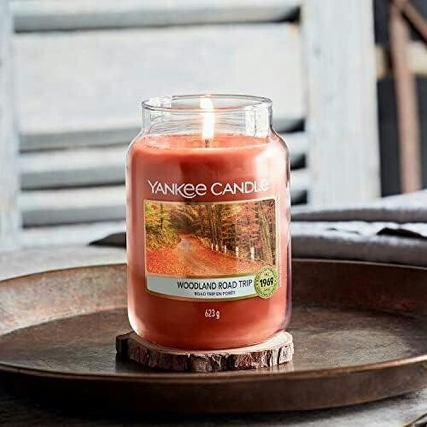 Yankee Candle Woodland Road Trip Medium Scented Jar Candle 411g