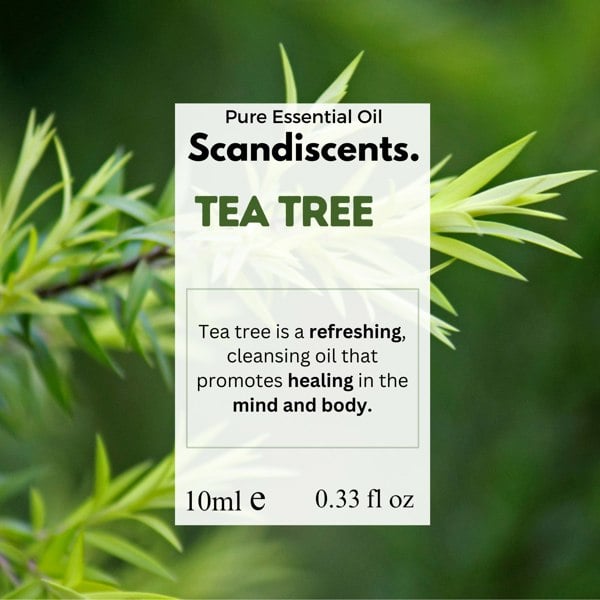 (NEW) Tea Tree - Scandiscents, waterless diffuser, essential oils, fragrance oils