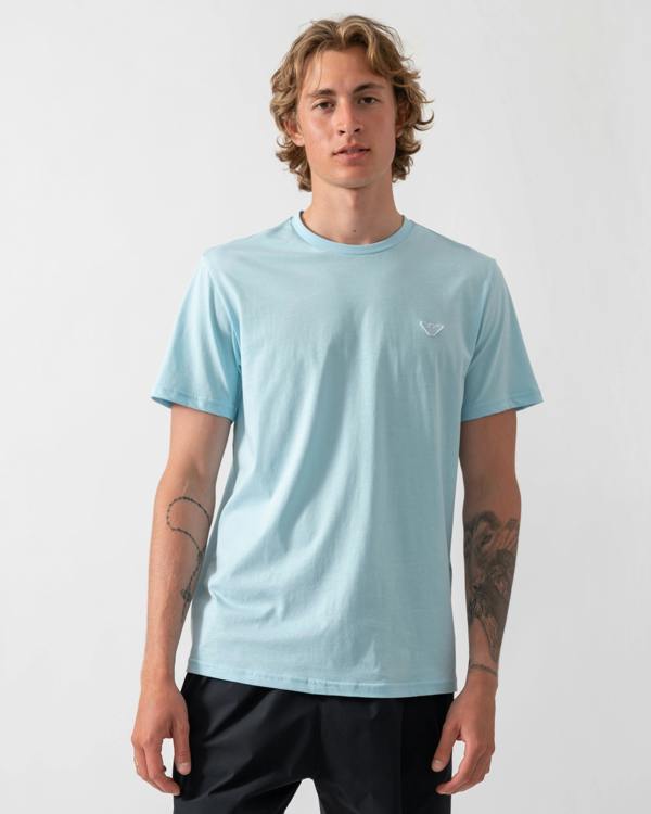 model wearing an Emporio Armani Mens Beach T-Shirt with Eagle Logo in Sky