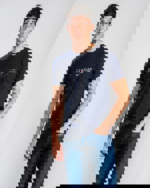 Tommy Hilfiger Mens Core Tommy Logo Tee - Sky Captain