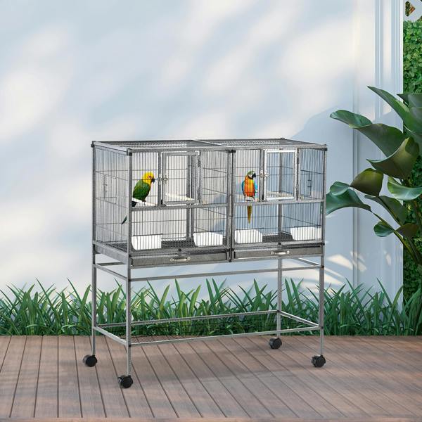 Bird Cage