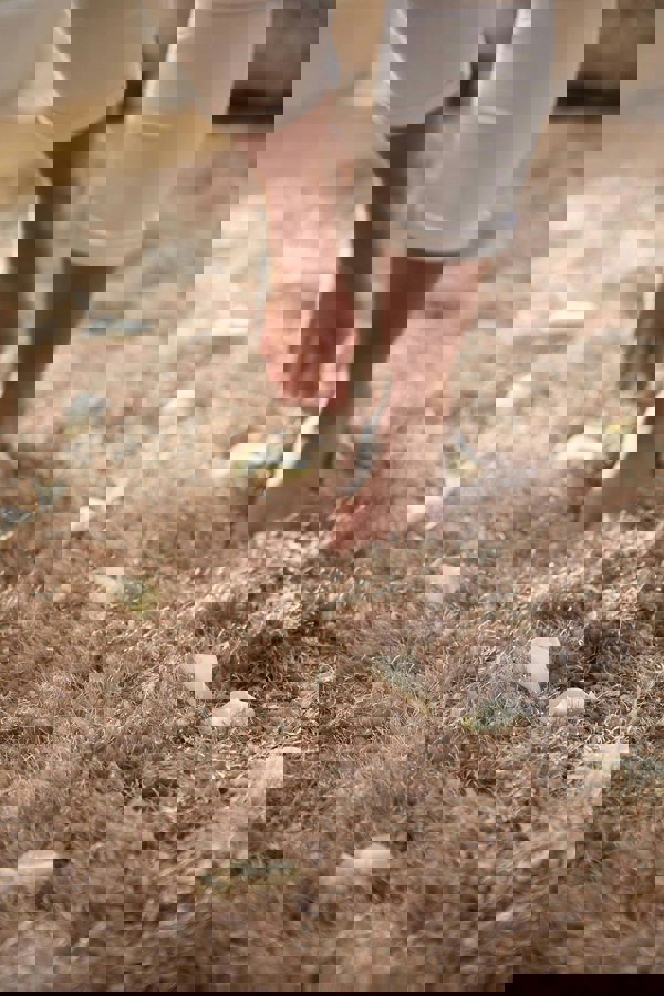 Origins Chicago Latte