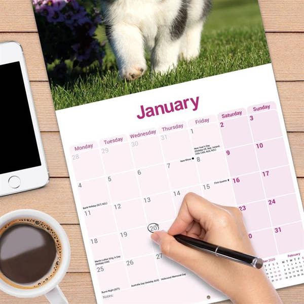 Siberian Husky Calendar 2027, Wall Calendars, Month To View, Dogs, Gift
