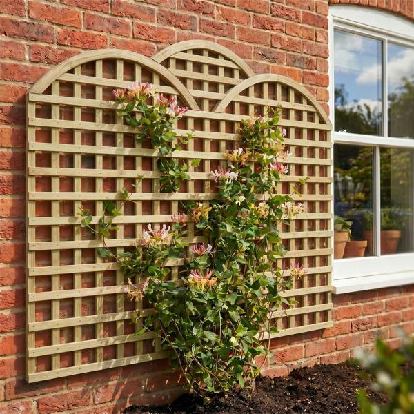 4 pack trellis triple dome privacy square [w.6ft x h.1ft] 1