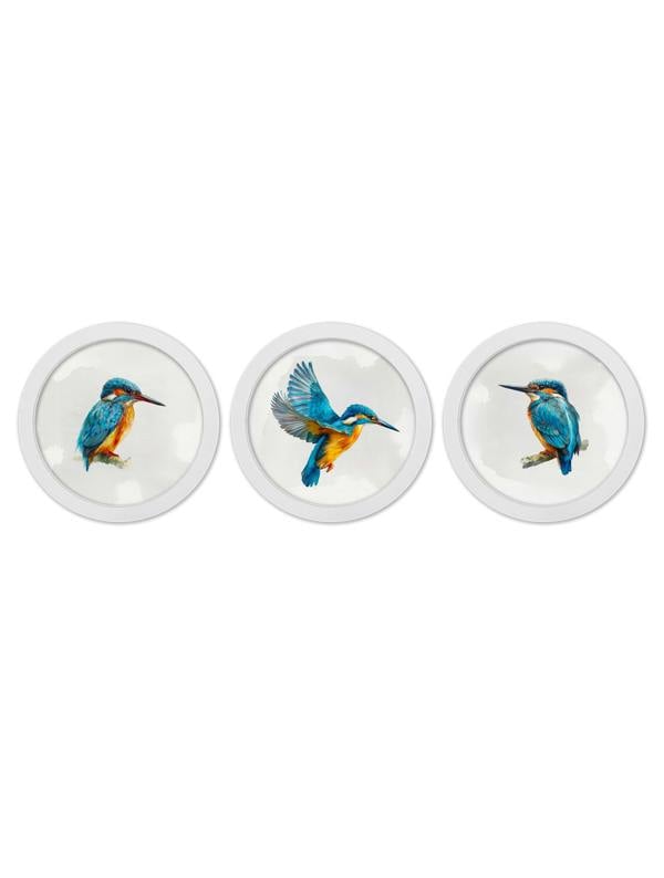 Exceptional Art Watercolour Kingfishers - 30cm White Round Box Frame