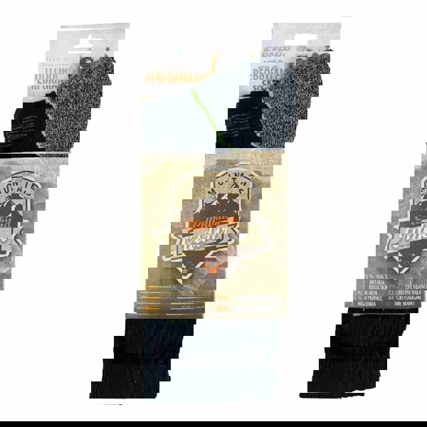 t4option1_1
