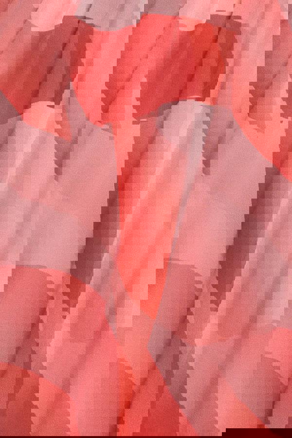 Printed Flutter Sleeve Chiffon Midi Dress - Coral DR4515