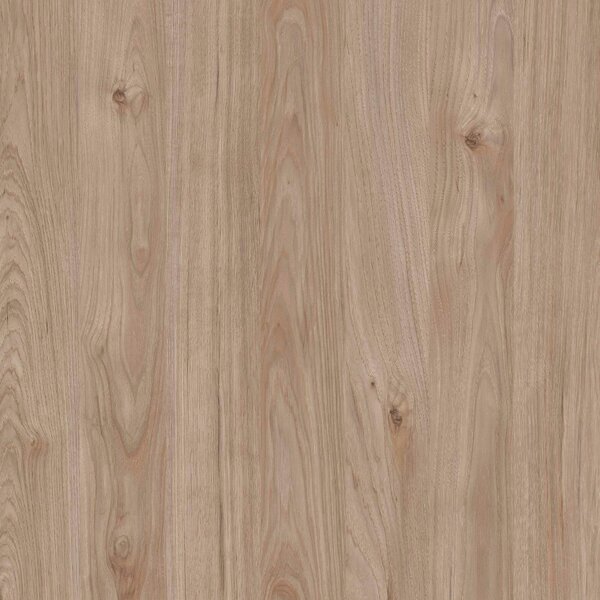Wyld Haus Tao Natural Oak Effect and Matt Black TV Unit 2 Sliding Doors