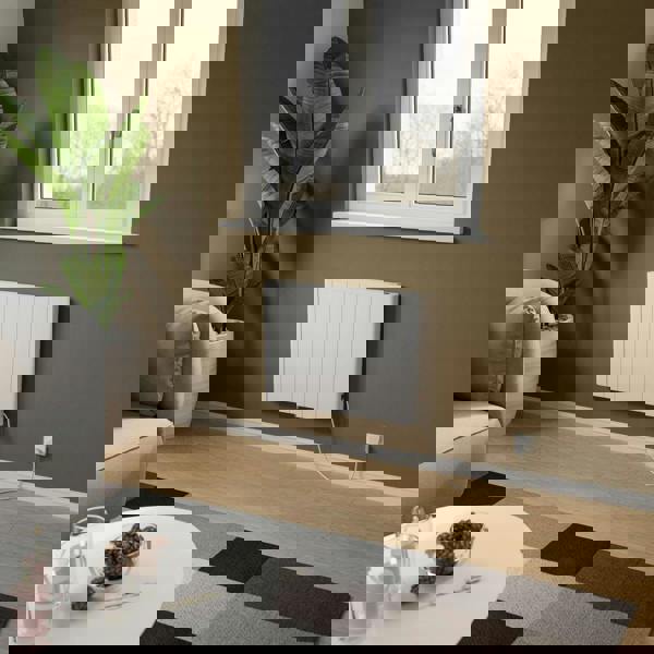 Agadon Riley Aluminium Electric Convector Radiator