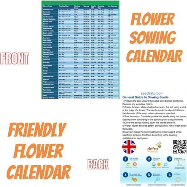 Gardening automation calendar – automated sowing and bloom schedules for flowers
