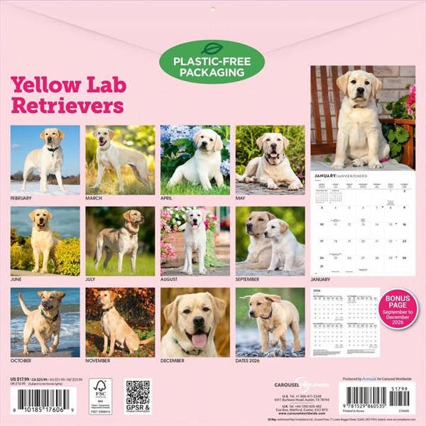 Yellow Labrador Retrievers Calendar 2027, Wall Calendars, Month To View, Dogs, Gift