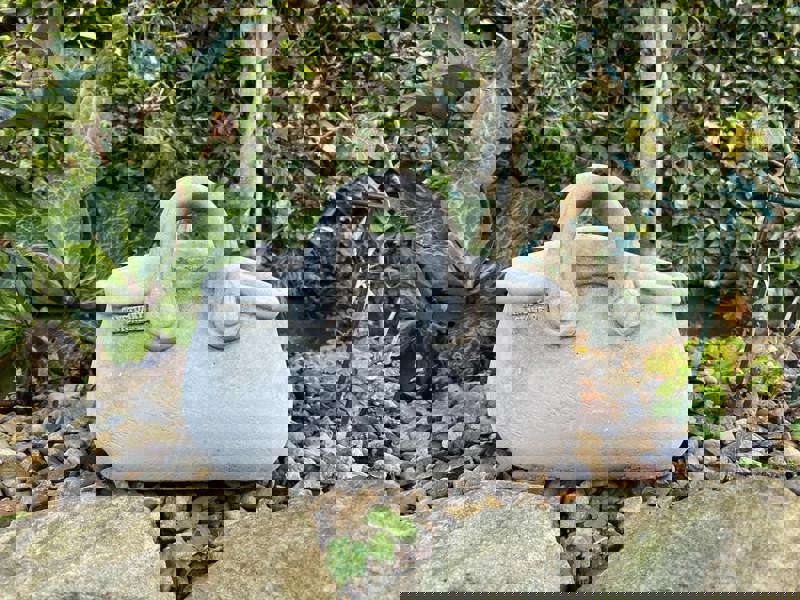 Open handbag Stone Plant Pot