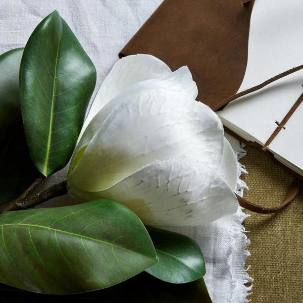 Wyld Haus Set of 3 Artificial Flowers White Magnolia Stems