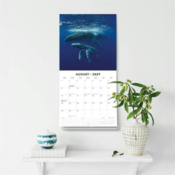 Whales Calendar 2027, Wall Calendars, Month To View, Animals, Gift