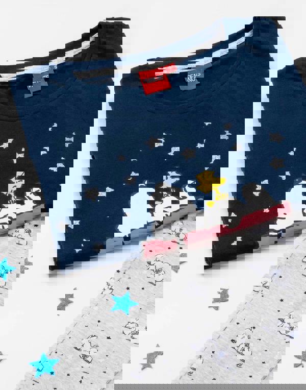 Peanuts Womens Blue Snoopy Short Sleeve Long Leg Pyjama Set