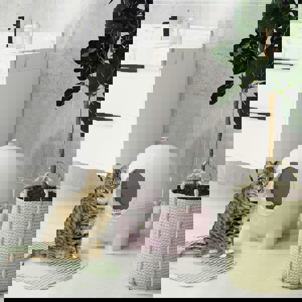D31-081V00PK