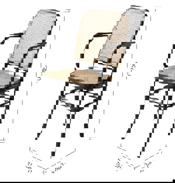 Paris G04 Rattan Dining Chair, Walnut-Weilai Concept-Weilai Concept