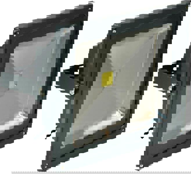 Eagle 50W Led Flood Light