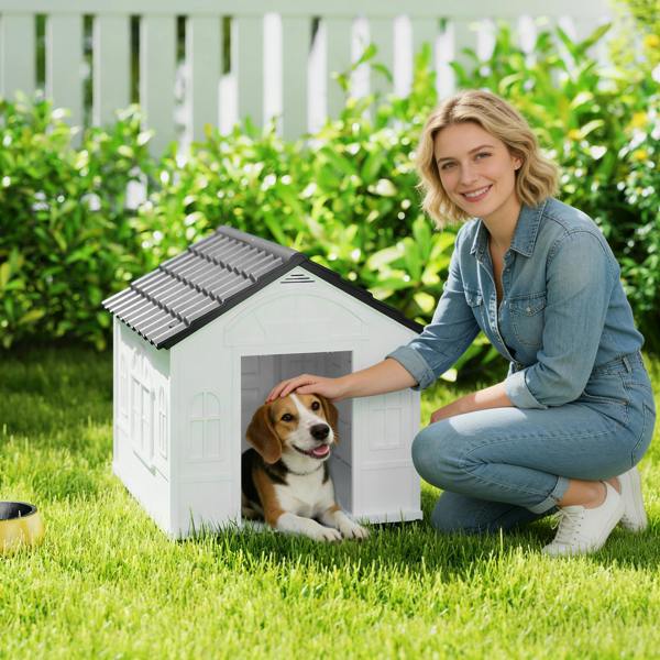 Dog Kennel House