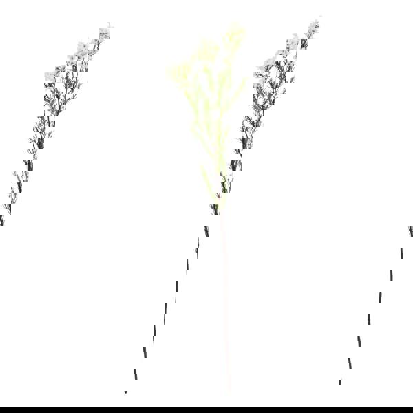 Hill Interiors The Natural Garden Collection Waxflower Artificial Flower - White/Green - 