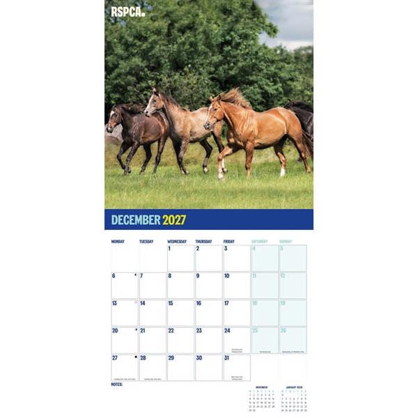 RSPCA, British Horses & Ponies Calendar 2027, Wall Calendars, Month To View, Animals, Gift