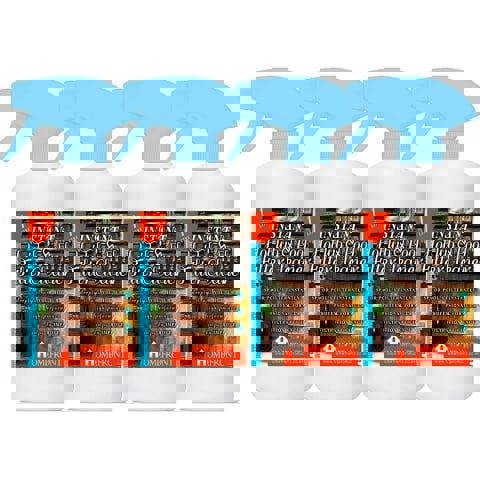 Homefront Instant Hot Tub and Pool Filter Cleaner - Quickly Removes Dirt, Grime, Oil and More 4L