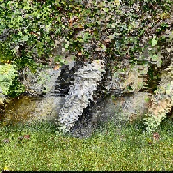 Tree Trunk Stone Wall Plaque