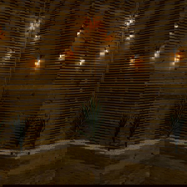 Samuel Alexander Set of 20 Indoor Outdoor Connectable Vintage Festoon Lights with Warm White LEDs