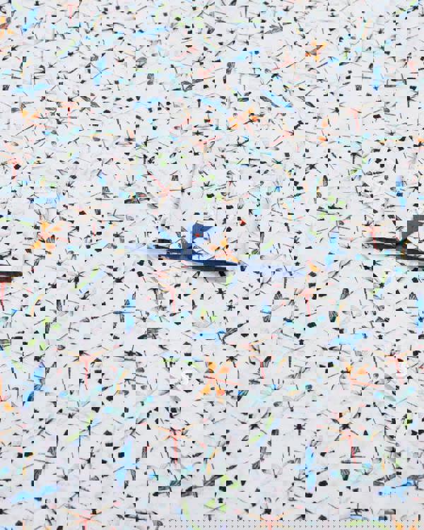 Steel & Jelly Limited Edition Dragonfly Print Shirt