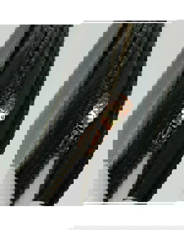 155443576.jpg