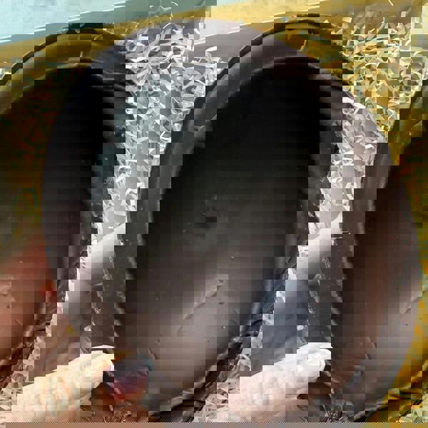 CHOC ON CHOC Chocolate Ostrich Egg