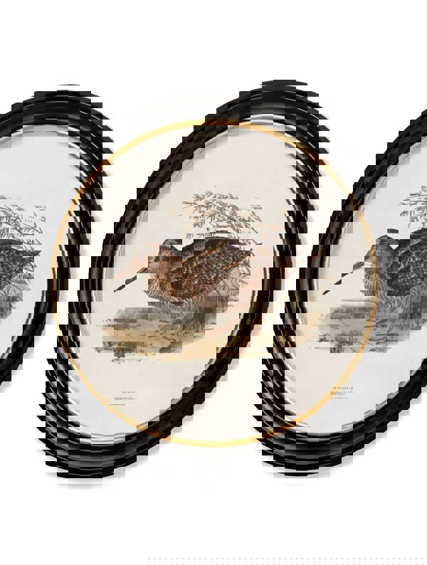 Exceptional Art c.1837's British Game Birds - Round