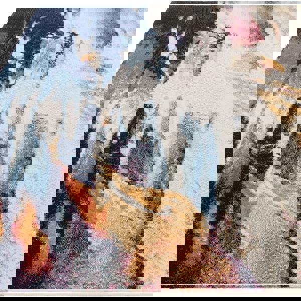 Asiatic Nova NV42 Vista Rug