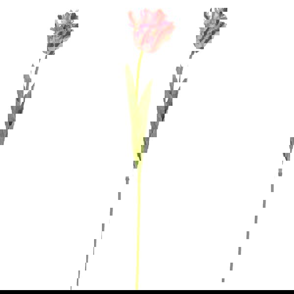 Hill Interiors Parrot Tulip Artificial Flower - Green/Pink - 