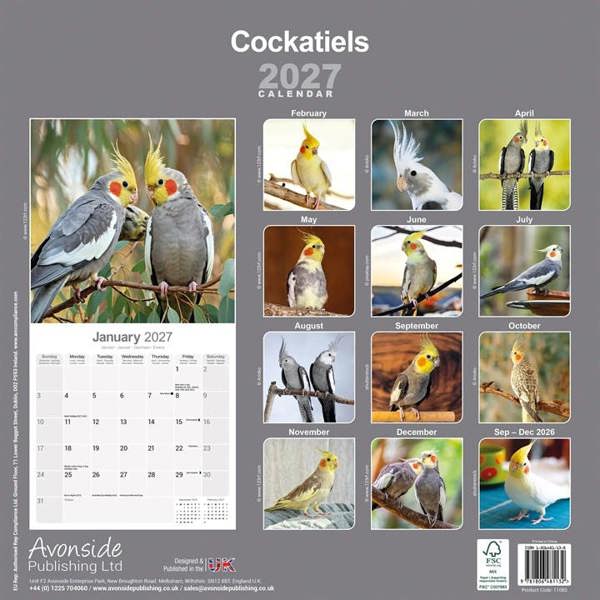 Cockatiels Calendar 2027, Wall Calendars, Month To View, Animals, Gift