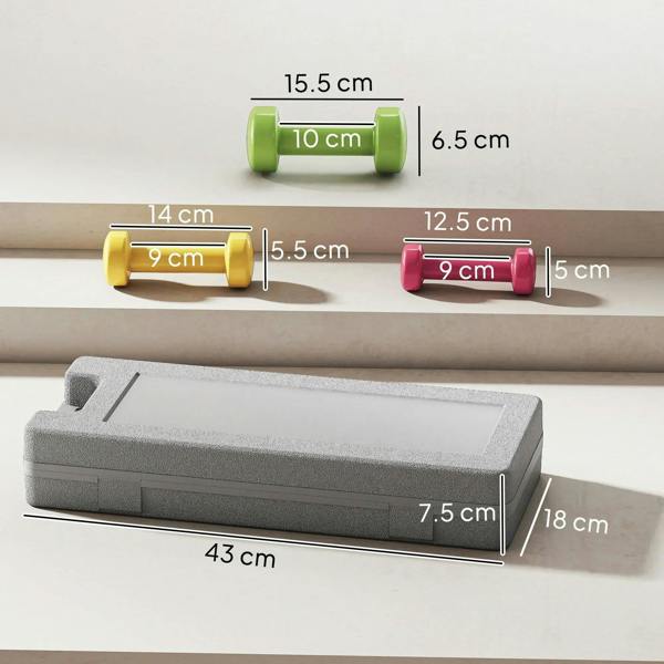 Color hex dumbbells and gray storage case with size dimensions shown